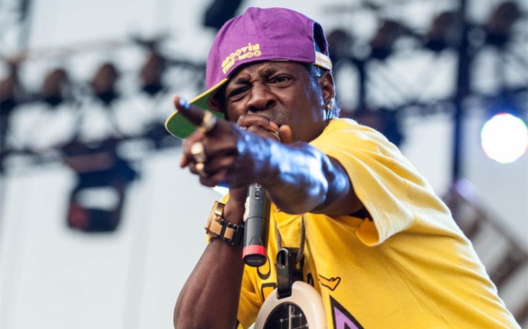 flavor flav's net worth